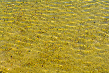 Ripples on the surface of the sea water with sun highlights. Texture of water.