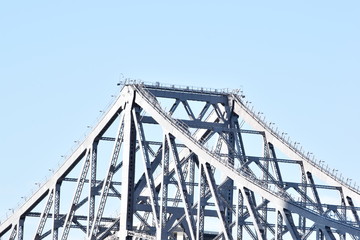 Fototapeta premium Brisbane river
