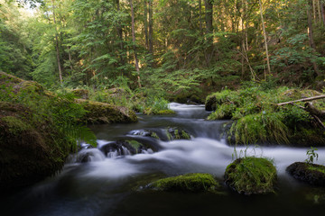 beautiful natural river stream motion water in the forest with moss rocks trees