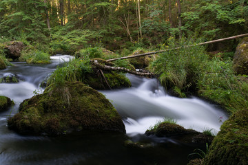 Obraz premium piękny naturalny ruch rzeczny strumień wody w lesie z mchem skały drzew