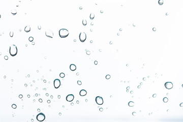 Fototapeta na wymiar Water droplets on a white background