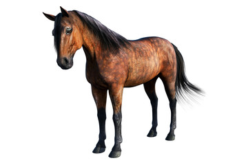 Obraz premium Brown Horse Standing, 3D illustration, 3D rendering