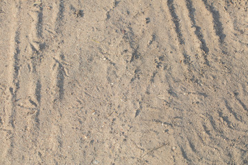 sand like a background, close up