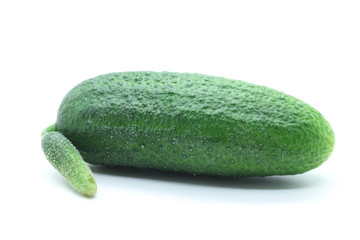 Cucumber on a white background, isolated