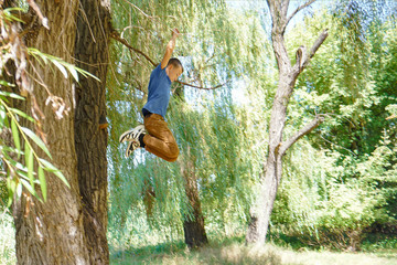 Boy jumping from a big tree down, wide angle photo.
