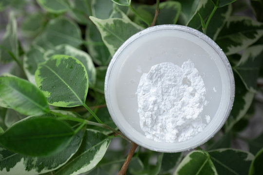 Opened box of mineral powder on green leaves background