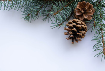 Christmas arrangement with pine twigs and cones isolated on white.