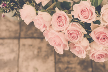 Rosa Rosen