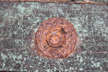 old wood and rusted screw as an ideal background