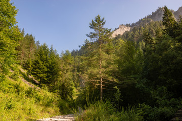 hiking trail in the Pieniny leading to the Three Crowns Summit