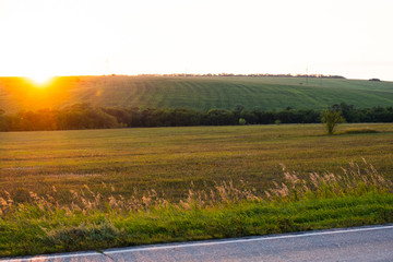 Fototapeta premium Field along the road at sunset