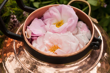 Alembic is a distilling apparatus of Arabic origin which may be used to distill essential oils and a variety of alcoholic beverages.