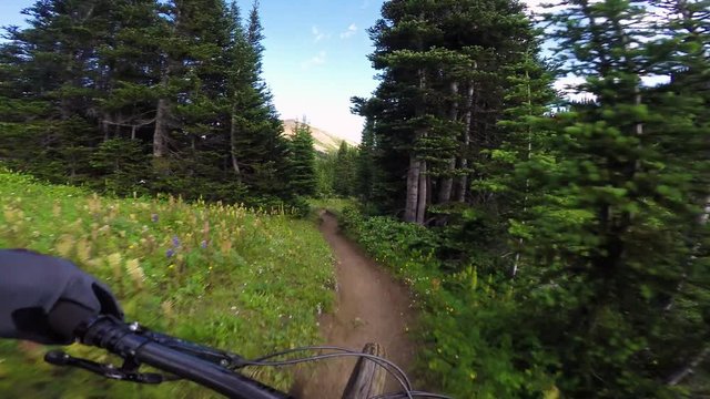 Mountain Biker Riding Through Fields Of Wild Flowers