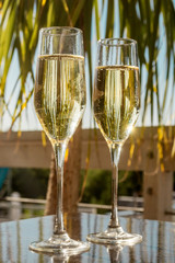 Two glasses of white sparkling champagne in sunshine during luxury hotel breakfast on a beach terrace 