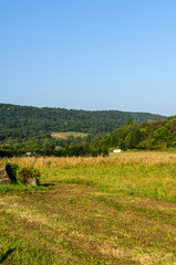 Panorama 