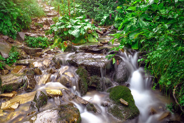 High mountain rainforest stream. River in mountain