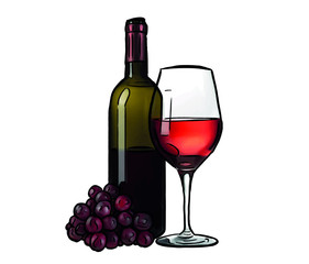 Red wine bottle and wine glass with grapes on white background. Vector illustration