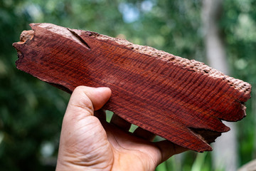Hand koding Burma padauk Wood has tiger stripe or curly stripe grain