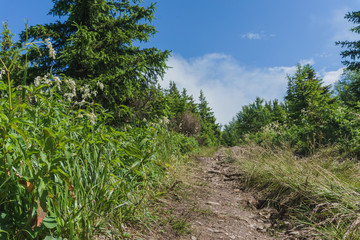 Hiking in the national Park Taganay- mountains, rivers, lakes