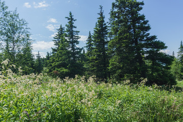 Hiking in the national Park Taganay- mountains, rivers, lakes
