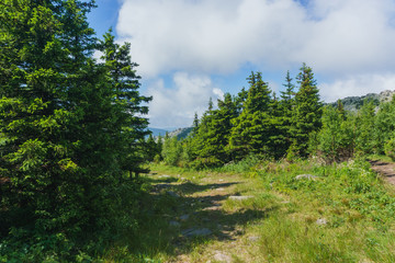 Hiking in the national Park Taganay- mountains, rivers, lakes