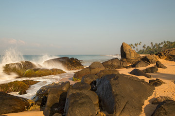  Beautiful beach with palm trees and boulders on the tropical island of Sri Lanka. 