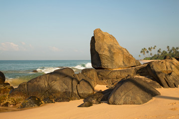  Beautiful beach with palm trees and boulders on the tropical island of Sri Lanka. 