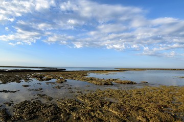 Côte Atlantique rocheuse, île d'Oléron