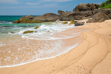  Beautiful beach with palm trees and boulders on the tropical island of Sri Lanka. 