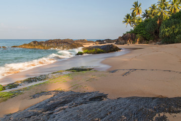  Beautiful beach with palm trees and boulders on the tropical island of Sri Lanka. 