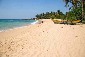  Beautiful beach with palm trees and boulders on the tropical island of Sri Lanka. 