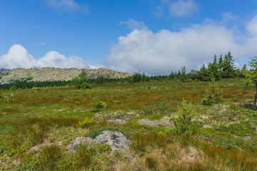 Hiking in the national Park Taganay- mountains, rivers, lakes