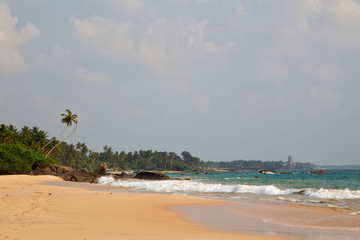  Beautiful beach with palm trees and boulders on the tropical island of Sri Lanka. 