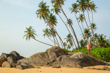Beautiful beach with palm trees and boulders on the tropical island of Sri Lanka.