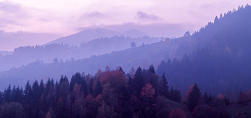 Obraz premium Carpatian mountains at the fog