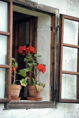 Fototapeta na wymiar Vintage windows with open wooden shutters and red flowers
