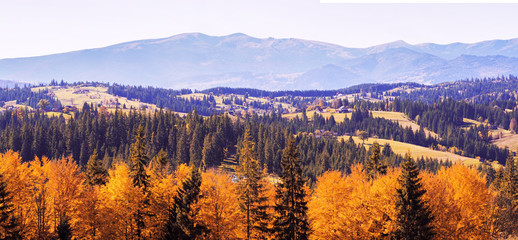 Carpatian village at mountains at the sunny day