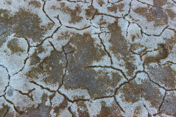The texture of the cracked ground on the bottom of the dried salt lake
