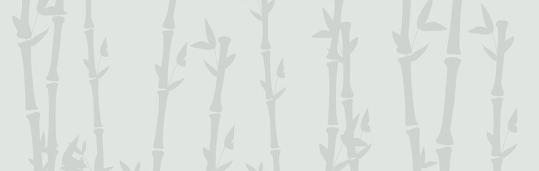 Bamboo forest background. Nature of Japan or China.