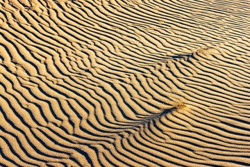 The texture of the desert ripple sand surface lits by low sun light