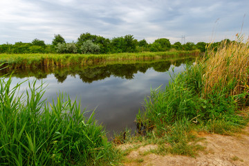 The shore of a calm river with the fishing passage through reed thickets