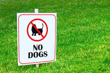 Sign on a plate No walking dog on the green grass. copy space close-up
