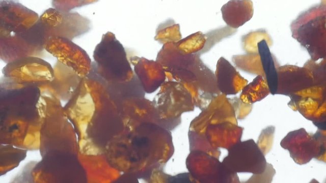 pieces of amber in water falling to the bottom slow motion