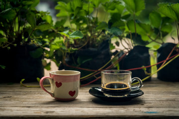 Coffee espresso and Hot tea cup texture   heart on wood table nature background