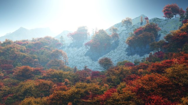 Autumn landscape. Panorama of the autumn forest. Autumn trees in the morning in the fog. 