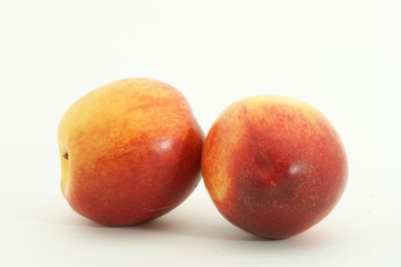 Two fresh juicy nectarines against white background