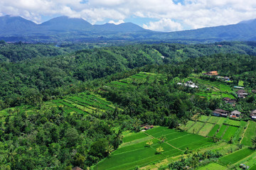 Fototapeta na wymiar Beautiful drone view of nature, seen from Plaga village, on the way to Kintamani, Bali.