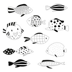 Set of fish, Doodle, hand-drawn. Fish in the Scandinavian style. - 287323590
