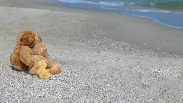 Happy family concept. Tree soft sytuffed  brown toy bears sitting at seashore, hugging happily and looking at bloue water. Real time full hd video footage.