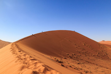 Fototapeta na wymiar Climbing up the summit of Dune 45, Namib desert, Namibia